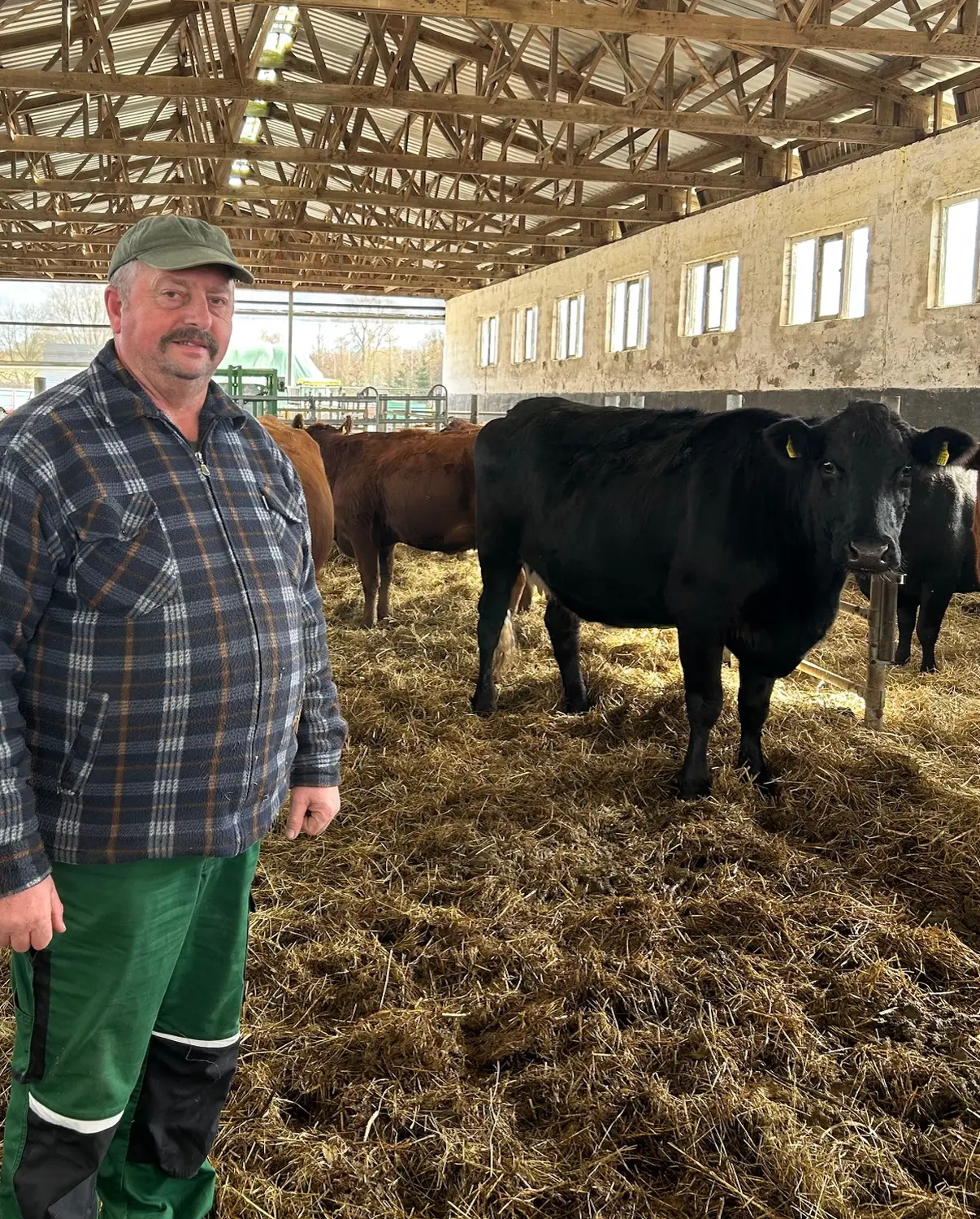Rinderhaltung von Weidehof Hermannshagen GbR